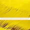 3.2 ft x 9.8 ft Metallic Tinsel Foil Fringe Curtains Party Photo Backdrop Party Streamers for Birthday,Graduation,New Year Eve Decorations Wedding Decor (1 Pack, Gold)